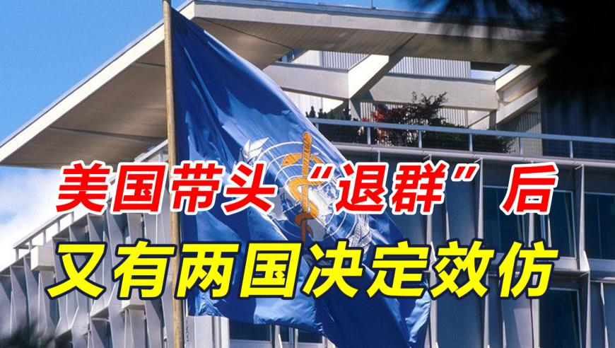 管家婆三期出一期最新版,影院回应支持哪吒2暂不排片美队4,最新热门解答落实_铂金版V14.76