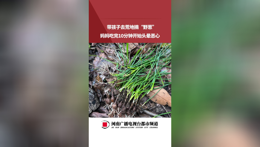 正澳门开奖结果2025开奖记录今晚,哪吒2制片人和饺子合作20年了,决策资料解释落实_豪华版V7.37