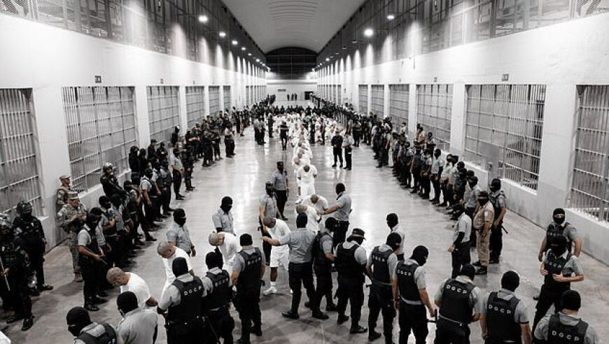 北京加大地铁安保警犬投入,香港澳门正版资料免费,动态词语解释落实_静态版V2.33